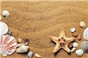 Veranstaltungsbild Strand-Collagen